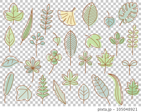 三葉草、銀杏等自然樹葉插畫,線描與色彩的組合版 三葉草、銀杏等自然樹葉插畫,線描與色彩的組合版 105048921