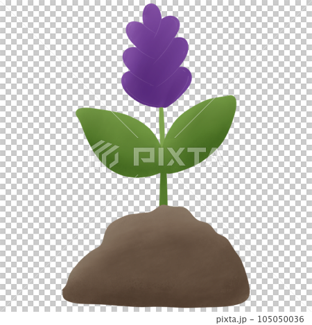 Flower on the ground Flower on the ground 105050036