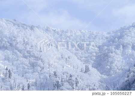若桜氷ノ山の樹氷 鳥取県 若桜氷ノ山 水彩画 105050227