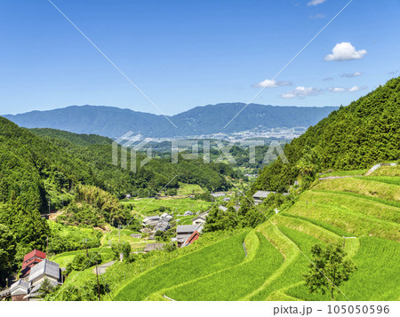 【HDR】新緑の棚田が広がる明日香村上地区の風景 105050596