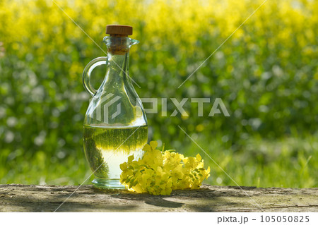 Canola or rapeseed flowers with oil glass decanter 105050825