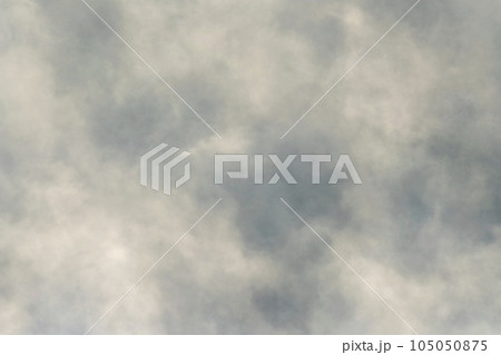 朝霧漂う 105050875