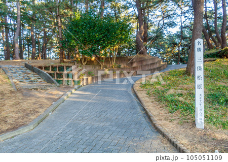 【静岡の景観】三保の松原入口 105051109