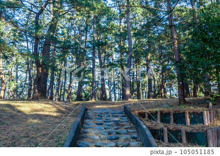 【静岡の景観】三保の松原入口 【静岡の景観】三保の松原入口 105051185