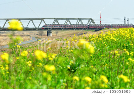 鉄道　私鉄：東武伊勢崎線　特急りょうもう9号　埼玉県羽生市 105051609
