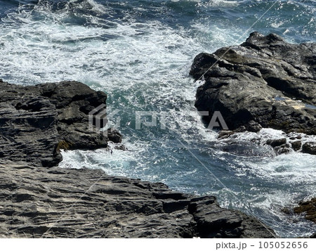 城ケ島 105052656