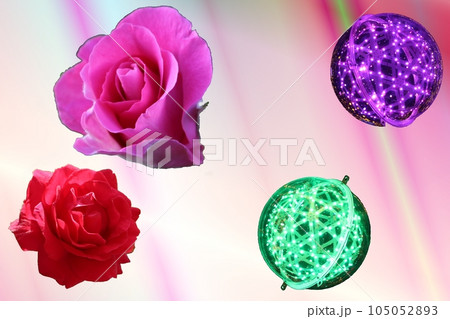 薔薇の花に包まれた抽象的な装飾花 薔薇の花に包まれた抽象的な装飾花 105052893