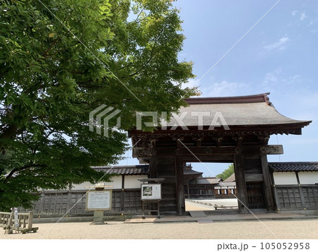 富山県の瑞龍寺の景色 富山県の瑞龍寺の景色 105052958