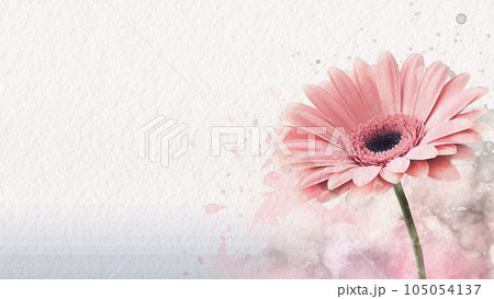 Abstract Floral Pink Gerbera Flower Watercolor Background On Paper AI Generated 105054137