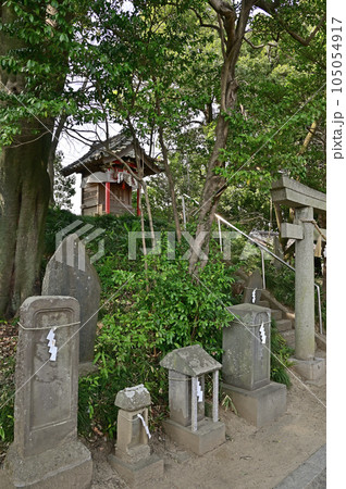 上州三嶋神社  群馬県邑楽郡明和町 105054917