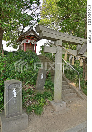 上州三嶋神社  群馬県邑楽郡明和町 105054918