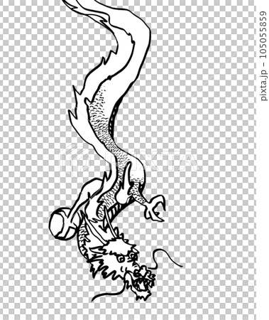 Chinese zodiac year of the dragon, line drawing illustration of a dragon. fantasy creature dragon painting Chinese zodiac year of the dragon, line drawing illustration of a dragon. fantasy creature dragon painting 105055859