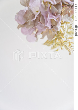 優しい色合いの花の背景素材 105056413
