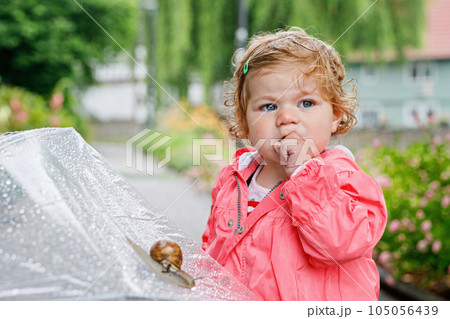 Cute adorable baby girl discovering snail on a walk. Beautiful curly toddler child having fun on rainy day. With big umbrella, child in waterproof clothes Cute adorable baby girl discovering snail on a walk. Beautiful curly toddler child having fun on rainy day. With big umbrella, child in waterproof clothes 105056439