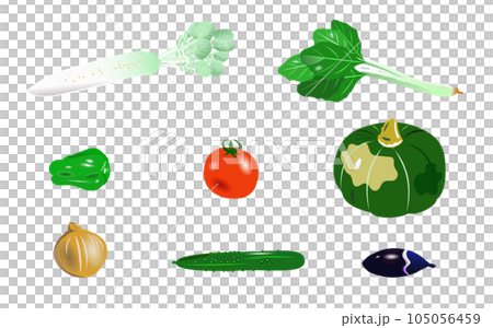 Illustration set of summer vegetables that can be used Illustration set of summer vegetables that can be used 105056459