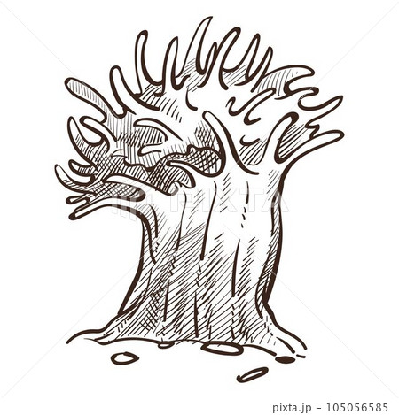 Seaweed or sponge, underwater plant or animal isolated sketch Seaweed or sponge, underwater plant or animal isolated sketch 105056585
