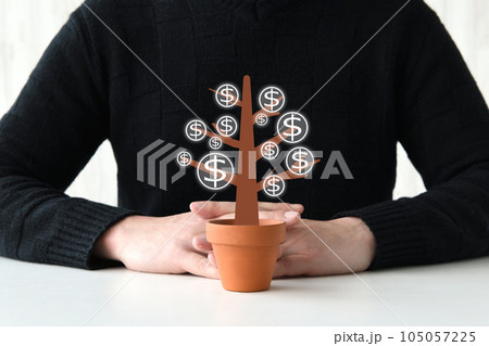 ドル建ての投資家男性とお金のなる木 105057225