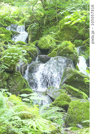 滝のある風景 鳥取県 雨滝 水彩画のイラスト素材 [105057816 滝のある風景 鳥取県 雨滝 水彩画のイラスト素材 [105057816
