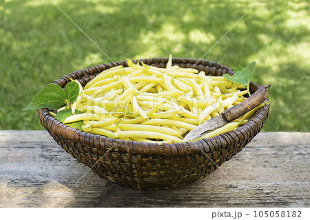 Yellow wax beans Yellow wax beans 105058182