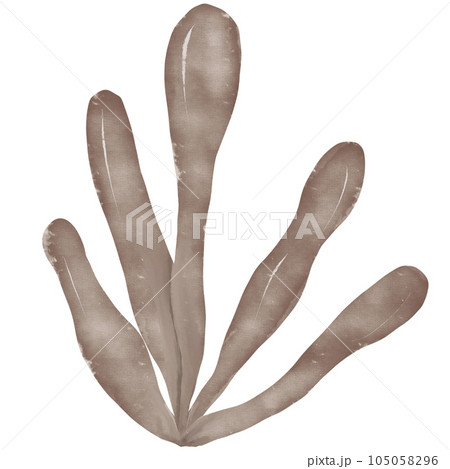 Watercolor ocean animals 105058296