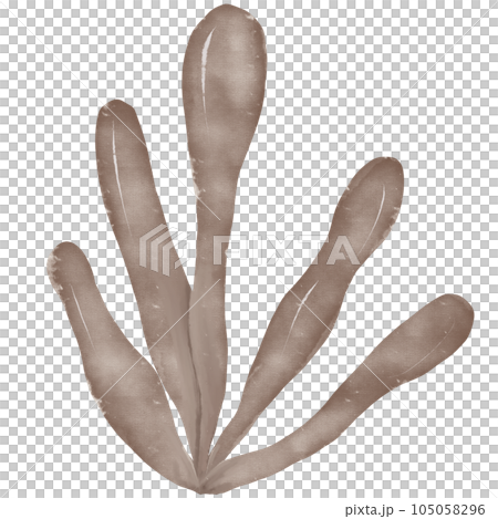 Watercolor ocean animals 105058296