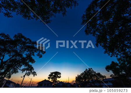 奈良市街区公園の夕景 夕焼けの残照を残した公園樹に囲まれた夜空 奈良市街区公園の夕景 夕焼けの残照を残した公園樹に囲まれた夜空 105059273