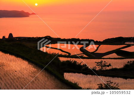 【山口県】東後畑棚田の夕焼け 105059532