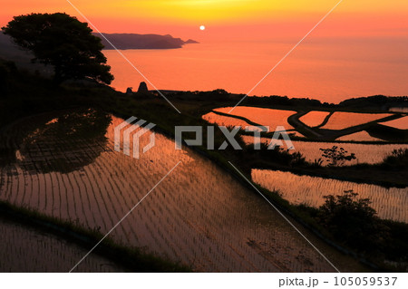 【山口県】東後畑棚田の夕焼け 【山口県】東後畑棚田の夕焼け 105059537