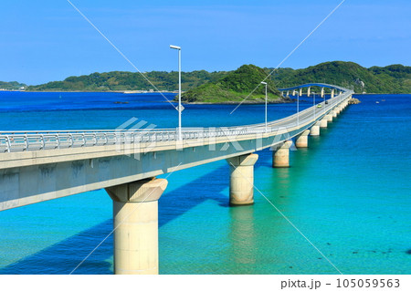 【山口県】快晴の角島大橋 【山口県】快晴の角島大橋 105059563