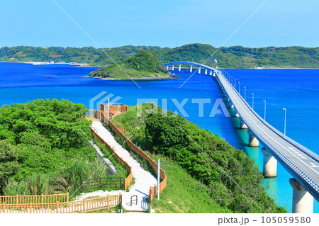 【山口県】快晴の角島大橋 【山口県】快晴の角島大橋 105059580