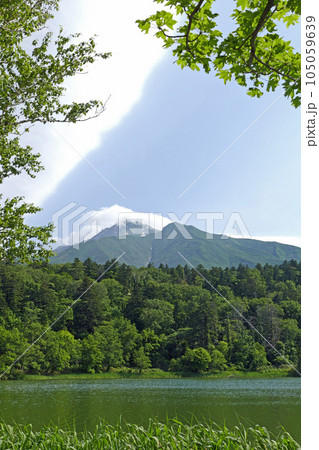 姫沼から見る利尻山 利尻島 北海道 姫沼から見る利尻山 利尻島 北海道 105059639