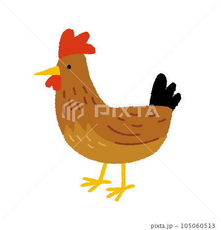 赤鶏の手描きイラスト 赤鶏の手描きイラスト 105060513