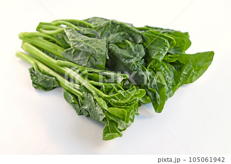 つるむらさき 105061942