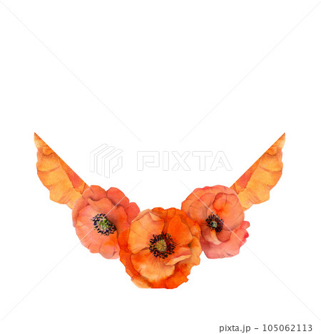 Watercolor square frame composition with hand drawn summer bright red poppy flowers. Isolated on white background. Design for invitations, wedding, love or greeting cards, paper, print, textile Watercolor square frame composition with hand drawn summer bright red poppy flowers. Isolated on white background. Design for invitations, wedding, love or greeting cards, paper, print, textile 105062113