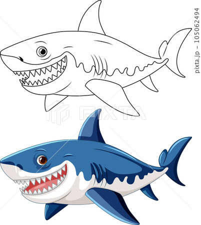 A cartoon illustration of a great white shark with big teeth smiling and swimming 105062494
