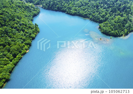 夏のオコタンペ湖を空撮 105062713