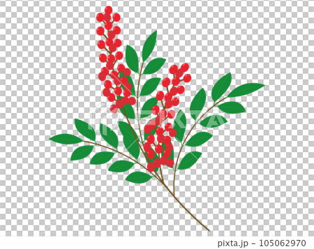 南天圖標 南天圖標 105062970