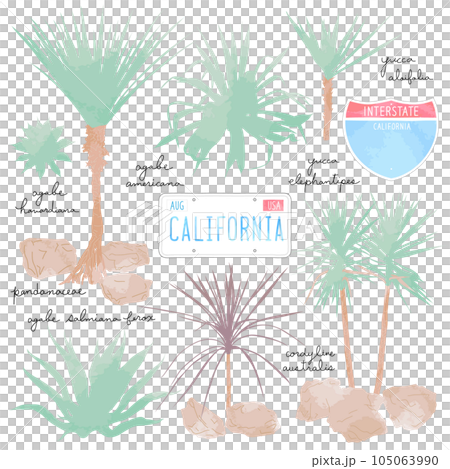 水彩乾燥花園 105063990