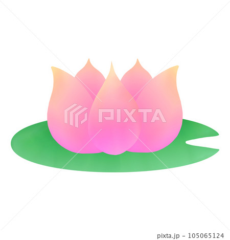 pink lotus flower in a green lily pad 105065124
