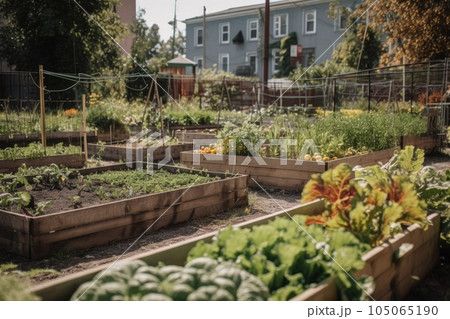 close-up of a community garden with the harvest in full swing, created with generative ai 105065190