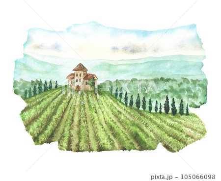Watercolor illustration. Landscape with green vineyards and a house on a hill. European village in summer.Isolated on a white.Field with grapevine in Tuscany, Italy.Growing grapes for wine production 105066098