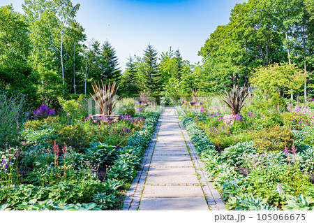 北海道 えこりん村の風景 北海道 えこりん村の風景 105066675