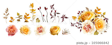 Autumn bouquet. Vector fall watercolor yellow, orange, pink rose flower, cream dahlia, carnation, eucalyptus leaves, branches editable illustration. Wedding invite, thanksgiving decorative element set 105066842