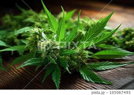 Cannabis leaves on a wood table. Mockup - alternative medicine. 105067493