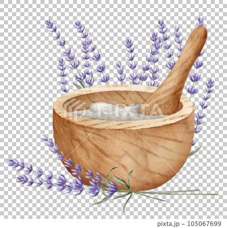 Mortar and pestle with Lavender Flowers. Hand drawn watercolor illustration for alternative medicine or essential oil production on white isolated background. Vintage drawing for aromatherapy label. Mortar and pestle with Lavender Flowers. Hand drawn watercolor illustration for alternative medicine or essential oil production on white isolated background. Vintage drawing for aromatherapy label. 105067699