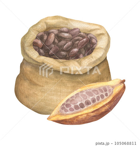 Watercolor illustration of canvas bag for cereals, seeds, flour, powder with cocoa seeds with cut cocoa fruit. Isolated hand drawn illustration 105068811