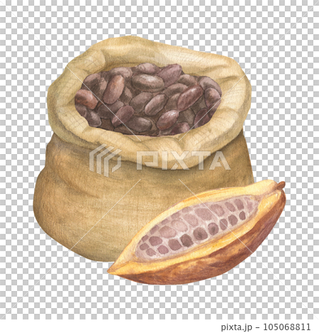 Watercolor illustration of canvas bag for cereals, seeds, flour, powder with cocoa seeds with cut cocoa fruit. Isolated hand drawn illustration 105068811