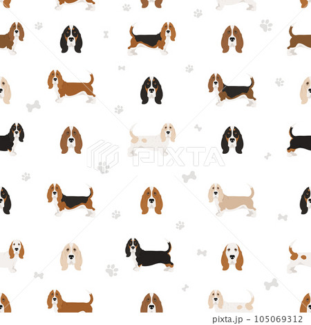 Basset hound seamess pattern. Different coat colors and poses set. Basset hound seamess pattern. Different coat colors and poses set. 105069312