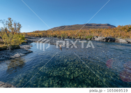Autum Abisko Canyon River Abiskojakka National Park, Norrbottens, Norrbottens Lapland landscape north of Sweden Autum Abisko Canyon River Abiskojakka National Park, Norrbottens, Norrbottens Lapland landscape north of Sweden 105069519