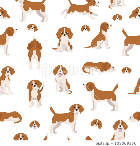 Beagle seamless pattern. Different poses, Beagle puppy 105069556